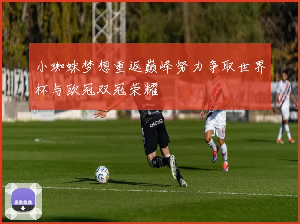 小蜘蛛梦想重返巅峰努力争取世界杯与欧冠双冠荣耀