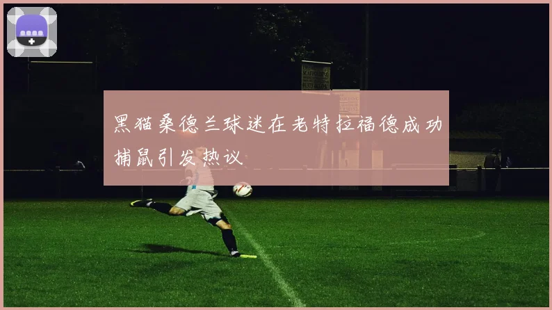 黑猫桑德兰球迷在老特拉福德成功捕鼠引发热议